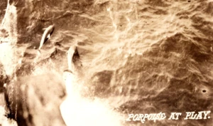 Postal RPPC Marsopa en juego, delfines vida marina vista desde el barco AZO 1918-1930 - Imagen 1 de 3