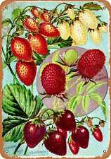 Metal Sign - 1902 Tree and Bush Strawberries -- Vintage Look