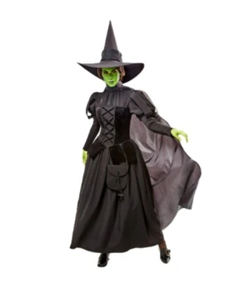Wicked Witch - Wizard of Oz - Wicked - Deluxe Costume - Women - Medium - Image 1 of 4