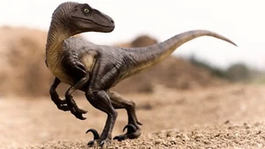 Velociraptor DINOSAUR POSTER 24 X 18 Inches NICE! - Picture 1 of 2