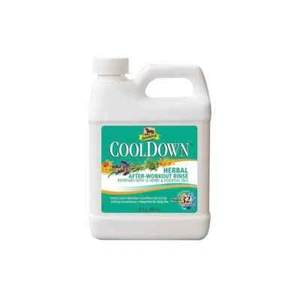 Absorbine CoolDown - Picture 1 of 1