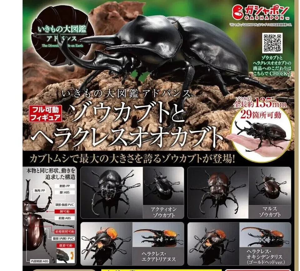 The Diversity of Life on Earth Advance Megasoma & Hercules Beetle Figure Bandai - Image 1 of 4