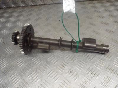 Yamaha XVZ1300 Royal Star 1999-On 99-On Engine Balance Shaft P603 - Image 1 of 4
