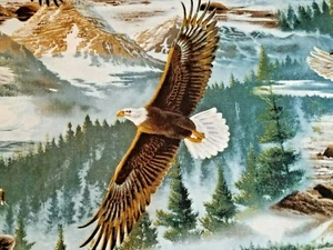 Stoff American Bald Eagle 3 3/4 Yard x WOF Meereslandschaft Quilt Baumwolle David Textiles - Bild 1 von 9