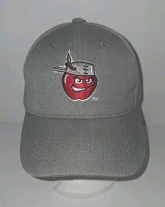 New! Fort Wayne TinCaps Hat  Gray Twins Franchise Adjustable Back Cap - Picture 1 of 6