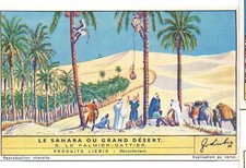S1453 - CHROMO LIEBIG - 1943 - ""THE SAHARA OU GRAND DESERT"": 5. LE PALMIER DAT
