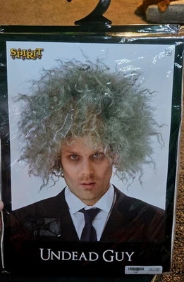 Peluca Spirit Halloween Disfraz Juegos con disfraces Hombre No Muerto Einstein Gris Mate Nuevo Foto 1 de 2