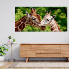 African Giraffe Largest Ruminant 3d View Wall Sticker Poster Decal A337