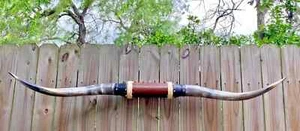XLg MOUNTED STEER BULL HORNS COW BOY HORN LONGHORNS 5' ft 3" Tip to Tip LONG #8 - Picture 1 of 8