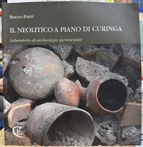 (Archeologia) R. Purri - IL NEOLITICO A PIANO DI CURINGA - C.L.E. 2011 - Bild 1 von 1