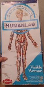 Skeleton MODEL KIT VISIBLE WOMAN ANATOMY HUMAN UNASSEMBLED Medical Pregnant Part - Picture 1 of 17