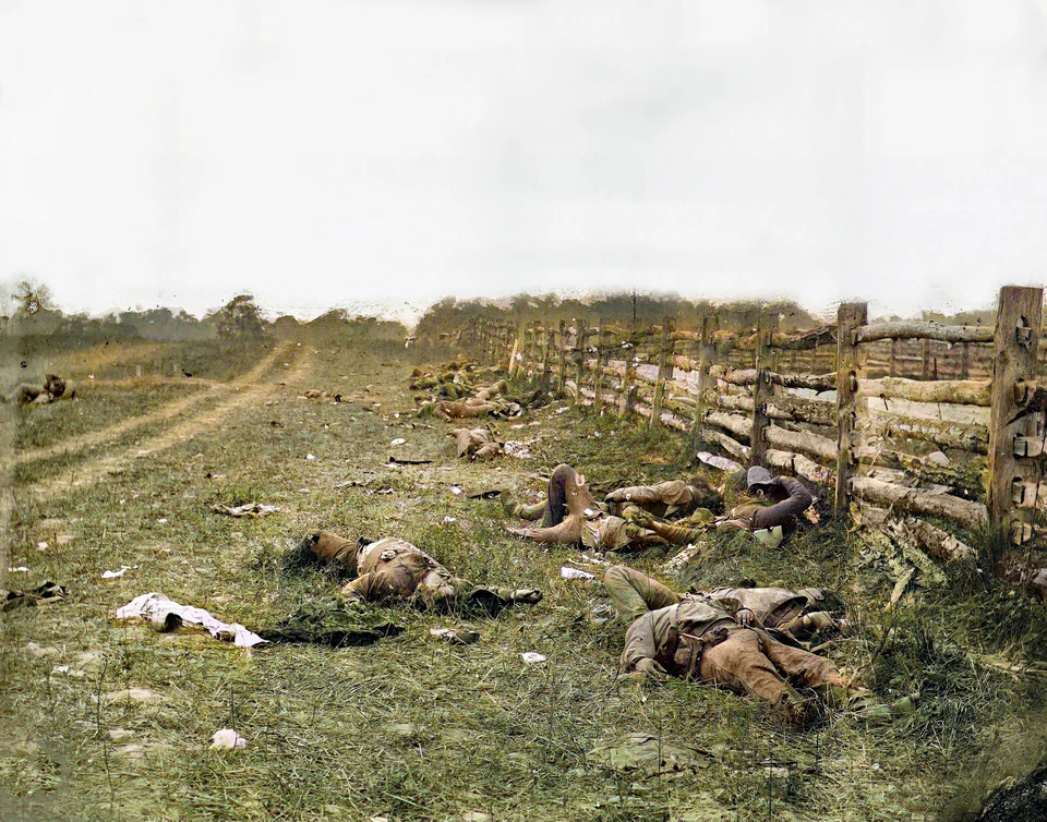 Antietam 1862, Maryland. Impresión fotográfica Confederate Dead by a Fence 14 x 11" Foto 1 de 1