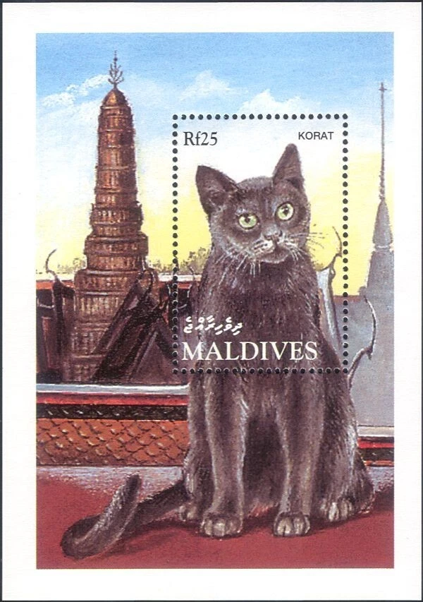 Maldives 1994 Korat/Domestic Cats/Animals/Nature/Pets 1v m/s (b2105e) - Image 1 of 1