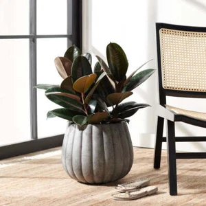 Kaston Concrete Modern Solid Round Patio Planter, Grey - Picture 1 of 5