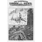 Wapiti Hunting in North America - Antique Print 1886