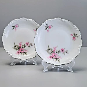 Vintage BREAD Plate Set German Tirschenreuth Picardy Pink Gray Floral Platinum - Picture 1 of 10