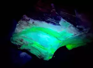 Fluorescent Opalized Petrified Wood – Glows Neon Green & Blue Under 310nm UV Mid - Picture 1 of 8
