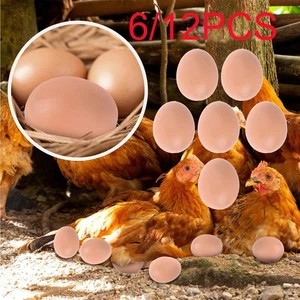 6/12Pcs Plastic Eggs Chicken House Small Fake Eggs Farm Animal Supplies Cages - Picture 1 of 8