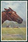 Artist Signed C. Burton Horse Pferd Cavallo BKWI serie 892-1 cartolina KF6599