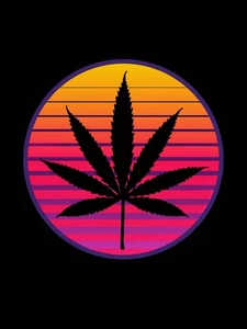 Plush Queen Size Marijuana Blanket - Extremely Soft - Retro Leaf - Picture 1 of 3
