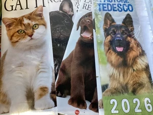 CALENDARI CANI GATTI ANIMALI 2026 VARI FORMATI SCEGLI dal menu' - Imagen 1 de 78