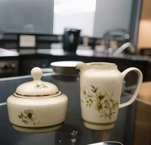 Vtg MZ Czechoslovakia Mini Cream & Sugar Porcelain Flowers - Picture 1 of 14