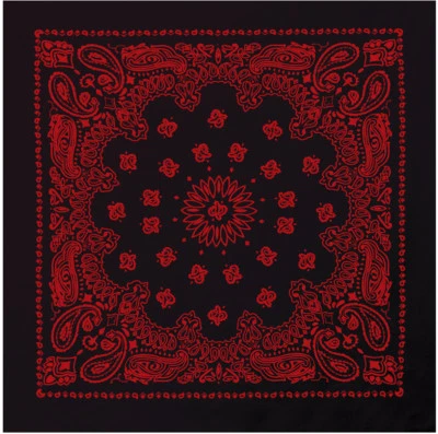 Trainmen Paisley Bandana Algodón Deporte Motociclista Cabeza Envoltura Cara Bandana Cubierta 22" Foto 1 de 2