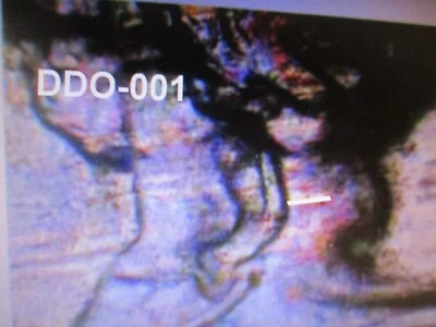 1930 BUFFALO NICKEL RARE 5 LEGS VARIETY DDR-001 FINE    WW10 - Image 1 of 4