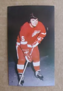 1970'S J.D. McCARTHY DETROIT RED WINGS POSTCARDS YOU PICK CHOOSE - Picture 1 of 49