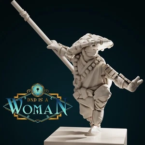 Tortle Monk - Baenya Dungeons and Dragons Miniature DnD is a Woman D&D - Picture 1 of 2