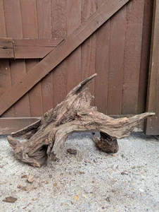 bogwood for fish tanks 2ft - Picture 1 of 3