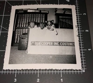 1950s Ben Cooper HALLOWEEN COSTUME Mask BOX w/ Dogs Pet Vintage Snapshot PHOTO - Picture 1 of 3