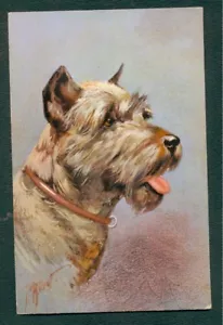 SCHNAUZER - POSTAL PERRO PINSCHER por J PRIMERA-SIN PUBLICAR - Imagen 1 de 2