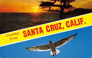 Greetings from SANTA CRUZ, CA Seagull Large Letter c1960s Vintage Postcard - Picture 1 of 2