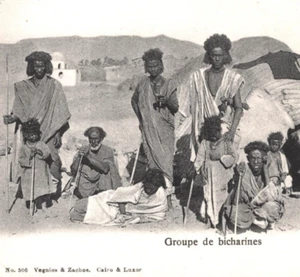 EGYPT/SUDAN Postcard Ethnic PC *Bicharines* BISHARI TRIBE Unused {samwells}KA142 - Picture 1 of 12