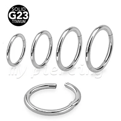 Pendiente de anillo de segmento con bisagras sin costuras de titanio G23 Labret Septum 16G 1/4"-1/2" Foto 1 de 3