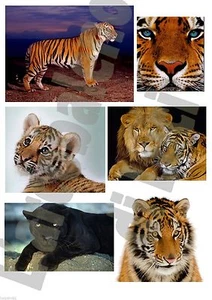 6 ADESIVI AUTO MOTO TUNING TIGRI TIGER TIGRE PANTERA NERA STICKERS LEONE LIONS - Picture 1 of 1