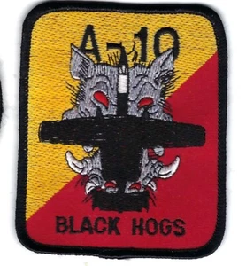 PATCH USAF 103RD FIGHTER SQ BLACK HOGS PENNSYLVANIA AIR GUARD JT28 - Picture 1 of 1