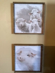 Country Farm Animal Portrait Framed 2 Asstd. Sheep & Pig - Picture 1 of 4