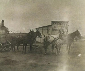 CO Copsey & Son Lumber Company Vintage 1800s Wagon w Horses Cabinet Photo - Bild 1 von 6