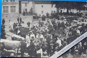 N°13  CPA DU VAL-D'AJOL Foire aux bestiaux  88 Vosges Non Ecrite  Carte Photo - Imagen 1 de 2