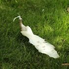 White Yellow Simulation Peacock Beautiful Real Feather Figurine