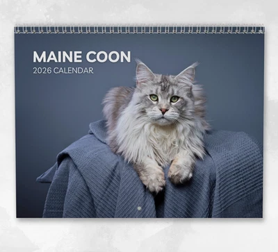 BOYCE PUBLISHING Maine Coon Calendar 2026: Monthly Wall Calendar with Notes, opens to A3 Size