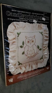 Vtg valiant Candlewicking Embroidery Pillow set owl sealed nos unique vintage - Picture 1 of 8
