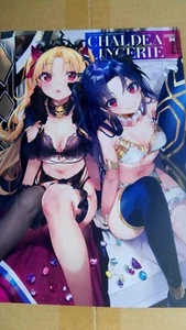 C94 doujinshi FGO destino/grande ordine CHALDEA LINGERIE neko metallo netamekoru - Foto 1 di 3