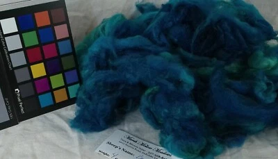 romney varigated Turquoise dyed wool fiber spin weave felt fiber art - Image 1 of 3