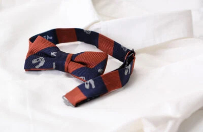 COLORATA / Pajarita para niños Tyrannosaurus Calavera Rayas Azul Marino・Rojo oscuro   Foto 1 de 2