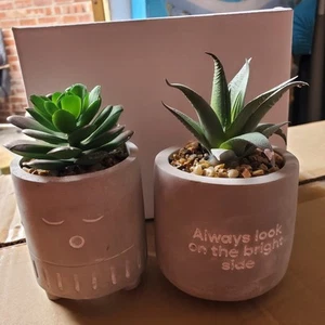Bellissime 2 piante succulente finte nuove in scatola in vaso 12 cm nere "Kind people" - Foto 1 di 2