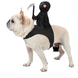 Halloween Parca Mascota Muñeca Disfraz Perros y Gatos Mascota Conjunto Vestir Juegos con disfraces - Imagen 1 de 14