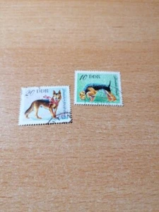 Briefmarken DDR 1976 MiNr 2156,2157 Hunderassen gestempelt - Bild 1 von 2